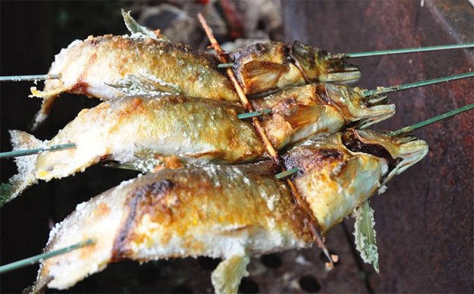 レンジでチンする天然鮎の炭火焼き（四万十川中流産）　7匹